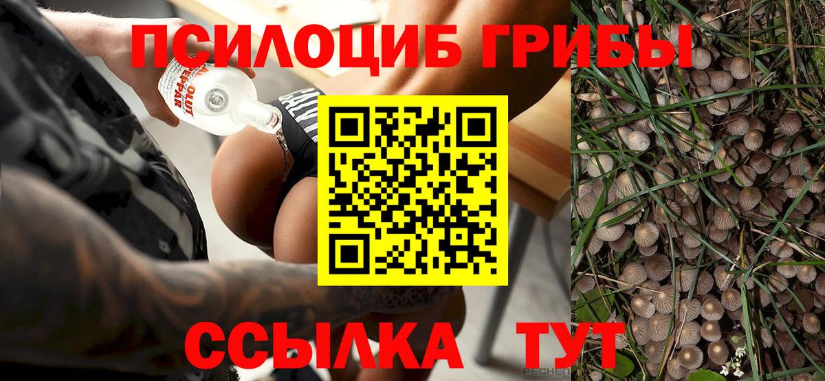 Галлюциногенные грибы Magic Shrooms  Галлюциногенные грибы GOLDEN TEACHER  Вход с VPN  закладки  Жигулёвск 